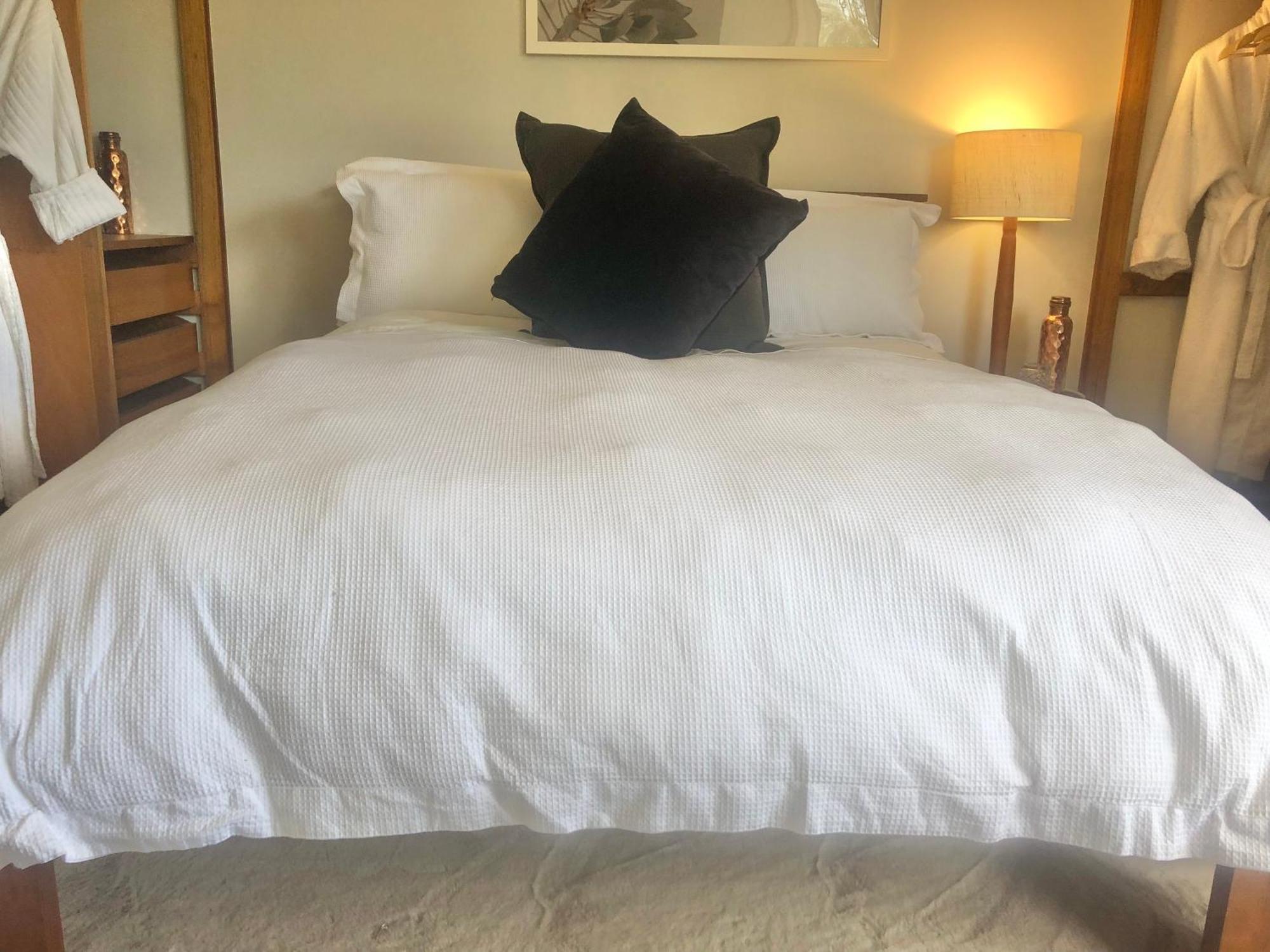Lovely Budget Vegan Homestay Launceston Exterior photo