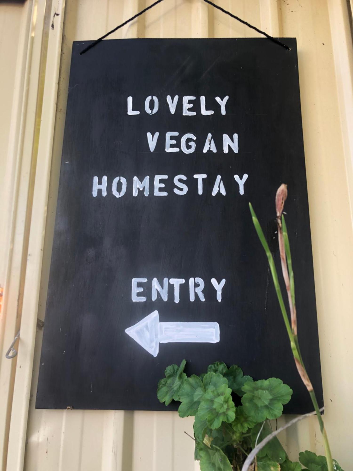 Lovely Budget Vegan Homestay Launceston Exterior photo