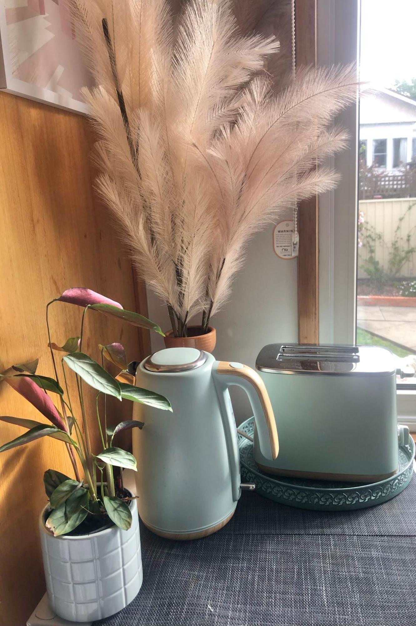 Lovely Budget Vegan Homestay Launceston Exterior photo